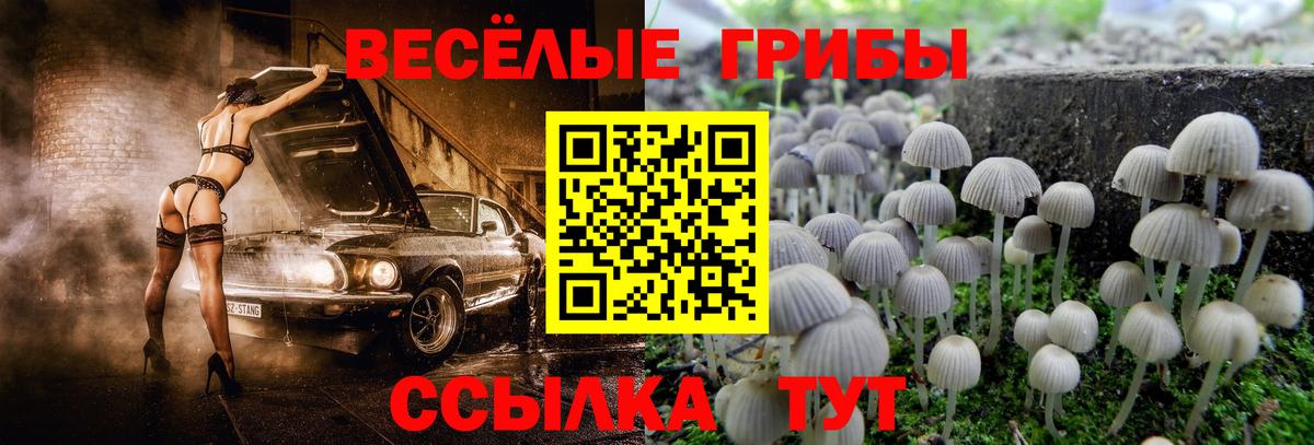 Галлюциногенные грибы Psilocybe  Вход с VPN  Миллерово 